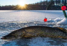Photo of Настоящий мужской релакс: собираемся на зимнюю рыбалку